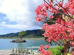 内原野公園