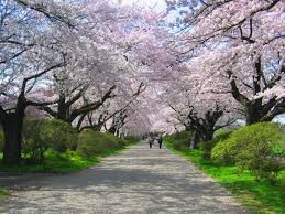 北上市立公園展勝地