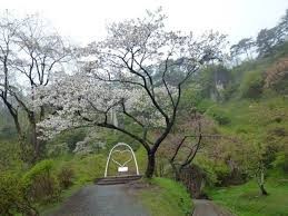 きみまち阪県立自然公園