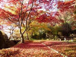 きみまち阪県立自然公園
