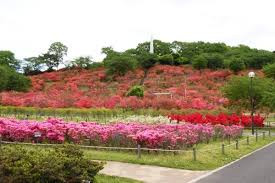 長峰公園