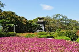 沼田公園(沼田城址)