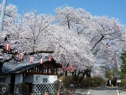 沼田公園(沼田城址)