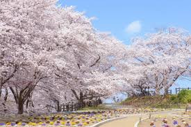 天童公園(舞鶴山)