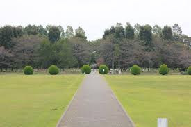 さいたま市 市民の森