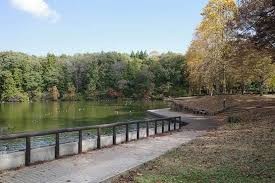 井頭公園