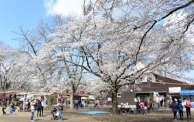 かしの森公園