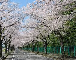 かしの森公園