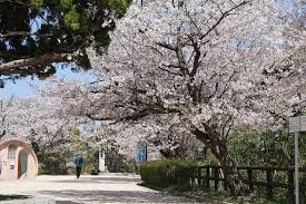 江波山公園