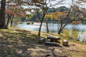 舘野公園