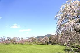 国史跡三戸城跡城山公園