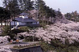 本荘公園