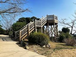 高知県立五台山公園