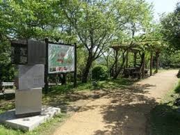 高知県立五台山公園
