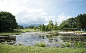 日光だいや川公園