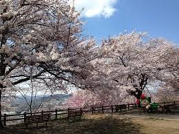 寒河江公園