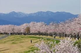 鬼怒川河川公園(氏家ゆうゆうパーク)