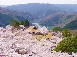 三休公園