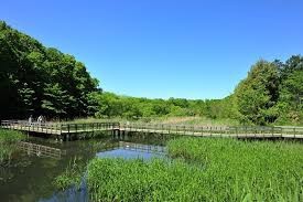 北本自然観察公園