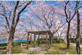 境台場公園