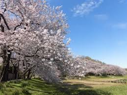大宮第二・第三公園