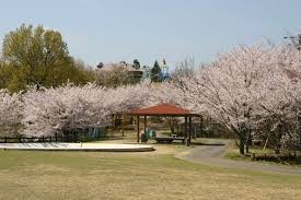 高山航空公園