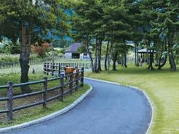 自然牧場公園