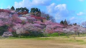 日本国花苑