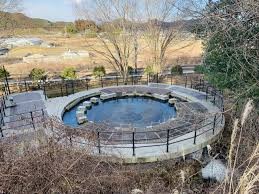 杉並木公園