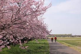 小山総合公園