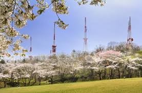 大森山公園