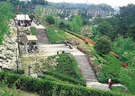 市制50年記念公園(市民の森・フラワーパーク)