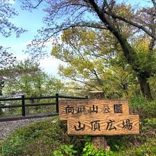向麻山公園山頂広場