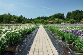 秋田県立小泉潟公園