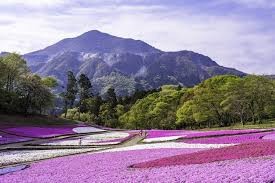 東郷公園