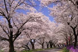 木次公園