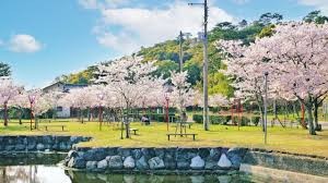琴弾公園
