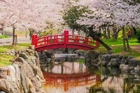 琴弾公園