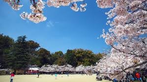 道後公園