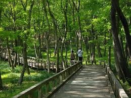 みかも山公園
