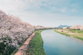 切戸川河川公園