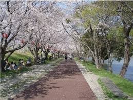酒津公園