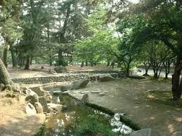 酒津公園