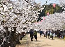 香川県立亀鶴公園