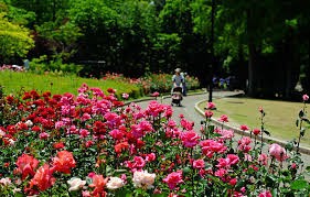 徳島中央公園