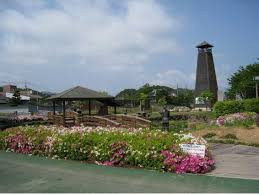 大三島藤公園