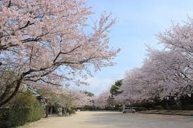 桑山公園