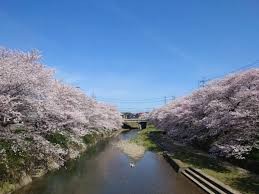 美祢さくら公園