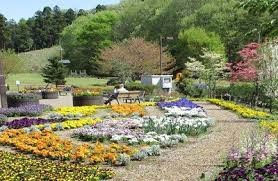 御前原公園(御前原城跡)