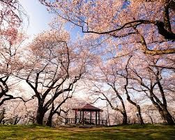烏帽子山公園